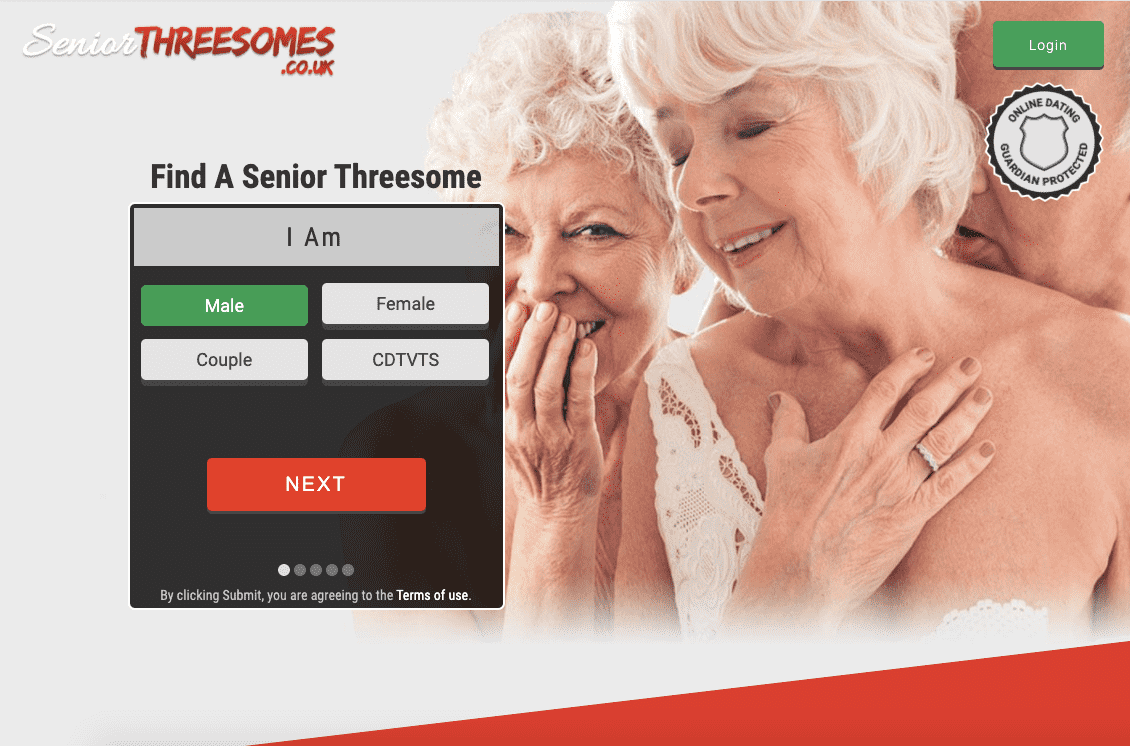 Senior Threesomes Logo